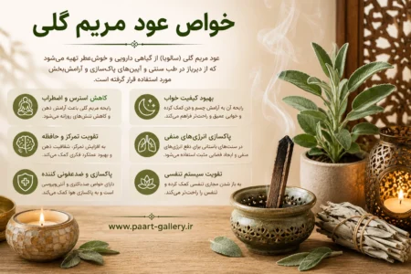عود مریم گلی سفید | خواص و انرژی وایت سیج