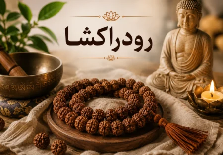 رودراکشا